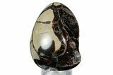 Septarian Dragon Egg Geode - Sparkly Black Crystals #336448-2